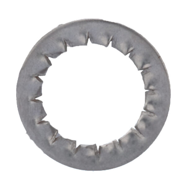 Stainless Steel 316 Serrated Washer | WN-50-SS